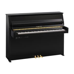 B10 Polished Ebony