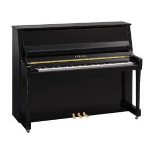 B20 Polished Ebony