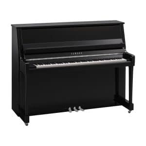B20 Polished Ebony Chrome