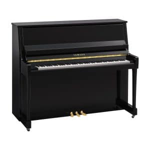 B30 Polished Ebony