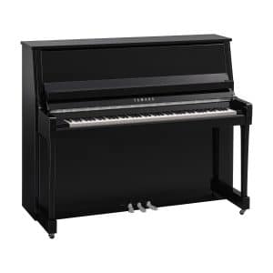 B30 Polished Ebony Chrome