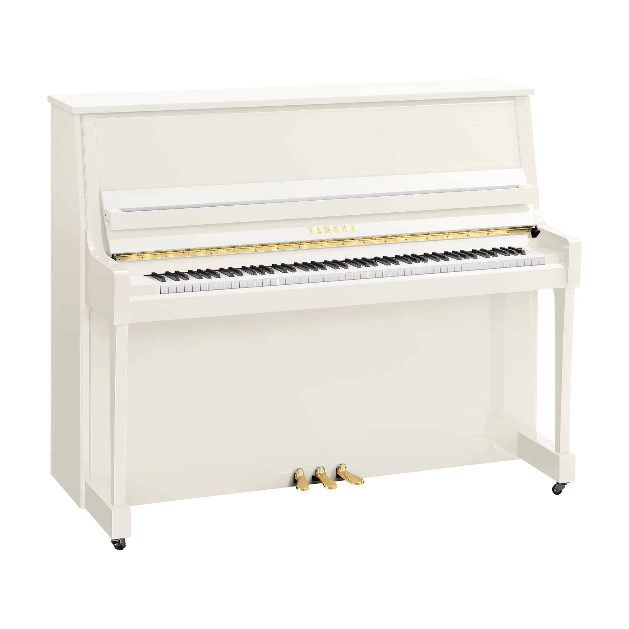 B30 Polished White