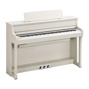 CLP-875 White Birch