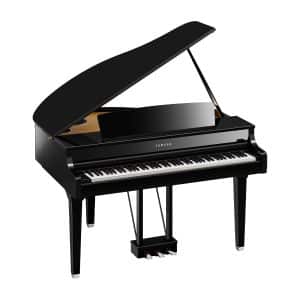 CLP-895 GP Polished Ebony